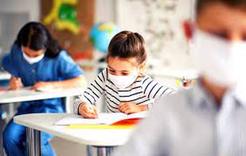 Noua structrură a anului şcolar 2021 - 2022