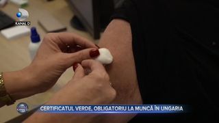 Certificatul verde - obligatoriu la muncă în Ungaria