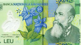 un-batran-a-fost-executat-silit-pentru-un-leu