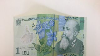 un-batran-a-fost-executat-silit-pentru-un-leu