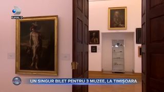 Un singur bilet pentru trei muzee, la Timișoara