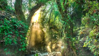 Un autoturism s-a răsturnat într-o prăpastie, într-o zonă montană din judeţul Dâmboviţa