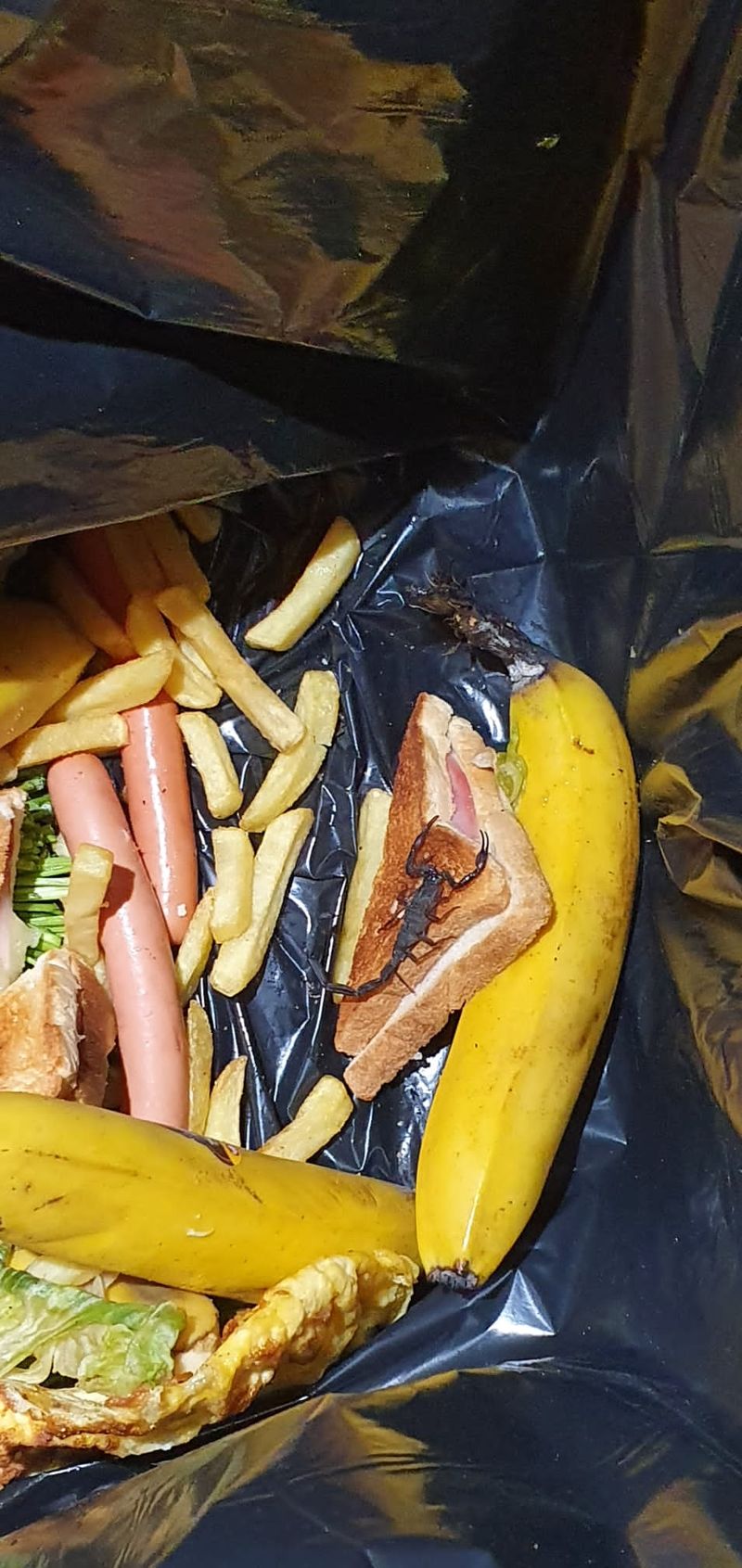 A fost înțepată de un scorpion când a desfăcut o cutie de banane. Incident neobișnuit în Capitală