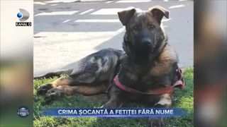 Crima șocantă anfetiței fără nume