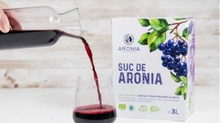 Sucul de aronia — o minune a naturii cu zeci de beneficii pentru sănătate