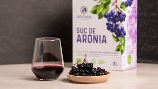 Sucul de aronia — o minune a naturii cu zeci de beneficii pentru sănătate