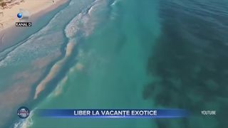 Liber la vacanțe exotice