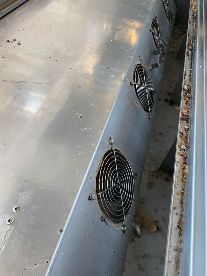 Două magazine IKEA din București, închise temporar de ANPC. Vitrinele din zona alimentară aveau urme de mucegai, praf, rugină, dar și insecte moarte