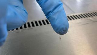 Două magazine IKEA din București, &icirc;nchise temporar de ANPC. Vitrinele din zona alimentară aveau urme de mucegai, praf, rugină, dar și insecte moarte