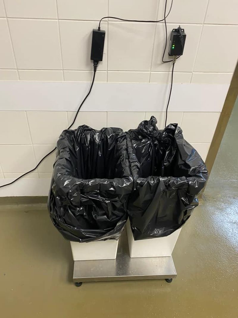 Două magazine IKEA din București, închise temporar de ANPC. Vitrinele din zona alimentară aveau urme de mucegai, praf, rugină, dar și insecte moarte