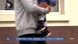 Copil de 3 ani, omorât de câinele familiei