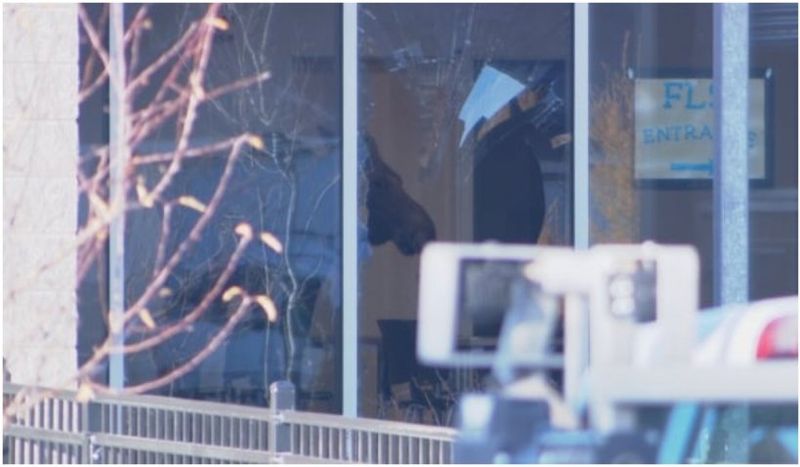 Un elan a dat buzna într-o sală de clasă din Canada