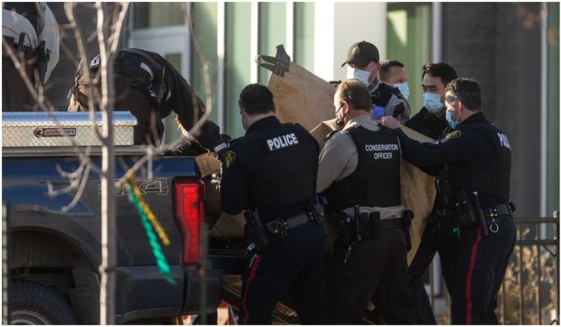 Un elan a dat buzna într-o sală de clasă din Canada