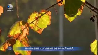 Noiembrie cu vreme de primăvară