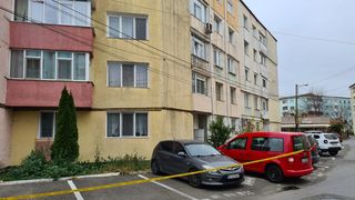 tatăl criminal neamț de ce și-a &icirc;njunghiat gemenele