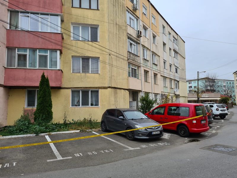 tatăl criminal neamț de ce și-a înjunghiat gemenele