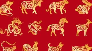 Horoscop chinezesc 2022. Care sunt cele mai norocoase zodii?