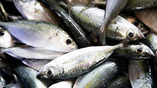 Postul Crăciunului 2021. Ce putem manca în post și când avem dezlegare la pește