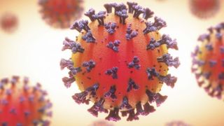 Bilanț Coronavirus, 11 noiembrie