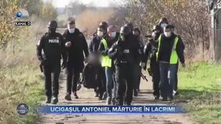 Ucigasul Antoniei, marturie in lacrimi