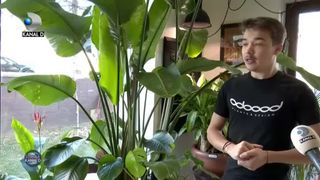 S-a inventat hotelul de plante