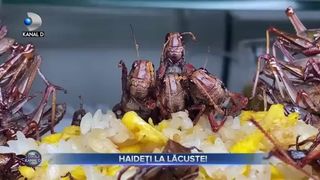 Haideți la lăcuste