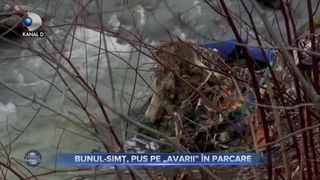 Bunul-simț, pus pe avarii în parcare