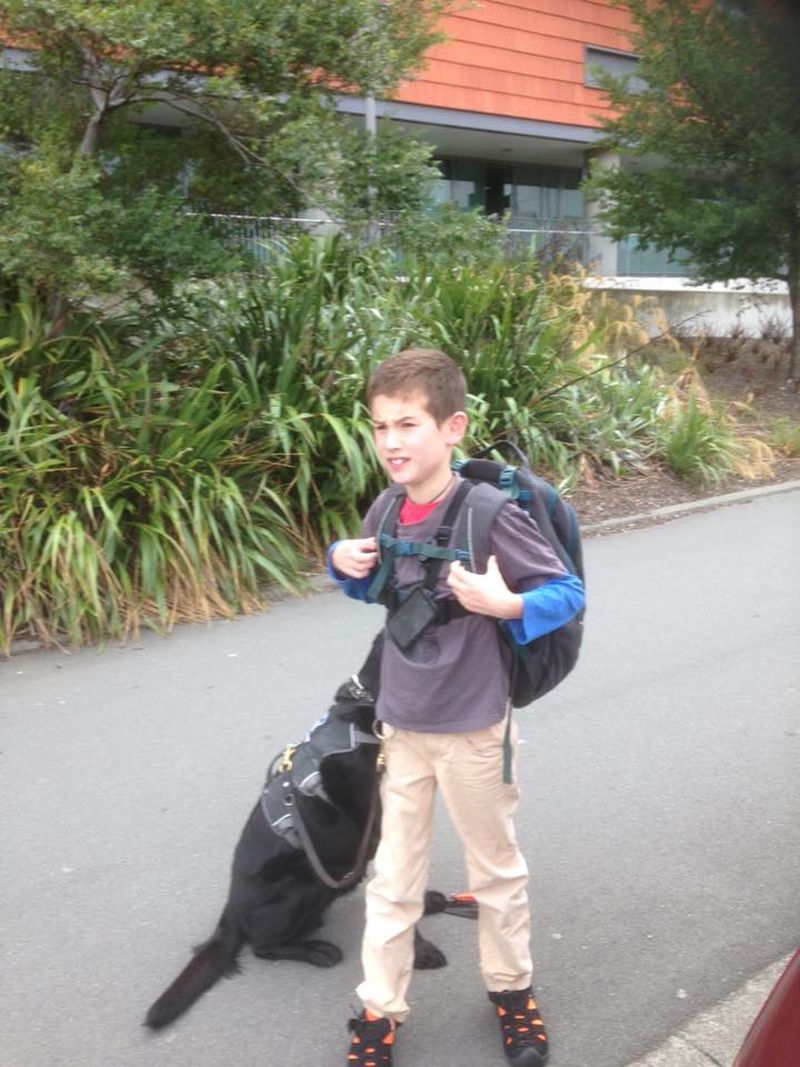 cainele-fidel-care-sta-alaturi-de-stapan-pe-patul-de-spital