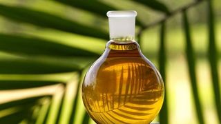 VIDEO | Uleiul de palmier,  bombă cu ceas pentru sănătatea noastră: Când poate deveni cancerigen?