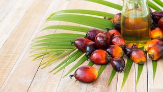 Prin prăjire, așa cum este folosit în industria fast-food, uleiul de palmier eliberează substanţe de o toxicitate care poate crește semnificativ riscul unor metastaze