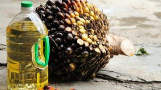 Uleiul de palmier este lider mondial la consum