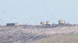 VIDEO | Bucureștiul și celelalte orașe mari ale țării sunt otrăvite cu un gaz toxic extrem de periculos