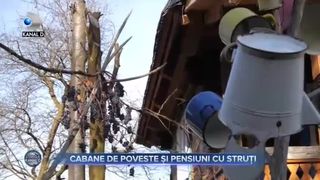 Minivacanţă de vis de 1 Decembrie 2021 în Maramureş: Cabane de poveste și pensiuni cu struți