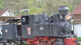 Minivacanţă de vis de 1 Decembrie 2021 în Maramureş: Cabane de poveste și pensiuni cu struți