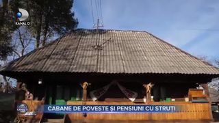 Cabane de poveste și pensiuni cu struți