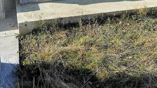 FOTO- Cimitirul din Zărneşti, ținta vadalismelor. Mai multe monumente, cruci şi plăci memoriale au fost distruse și dăr&acirc;mate