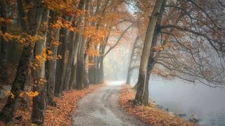 Vremea de Crăciun 2021: Prognoza meteo pentru luna decembrie