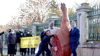 Protest &icirc;n fața Parlamentului. Protestatarii au adus un ciolan și purtau măști cu politicienilor: &bdquo;Parlamentari, nu giraţi lupta pe ciolan: nu votaţi premier PNL-PSD-UDMR!&rdquo;