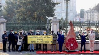Protest în fața Parlamentului. Protestatarii au adus un ciolan și purtau măști cu fețele politicienilor: „Parlamentari, nu giraţi lupta pe ciolan: nu votaţi premier PNL-PSD-UDMR!”