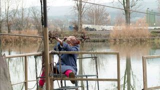 Asta-i Rom&acirc;nia