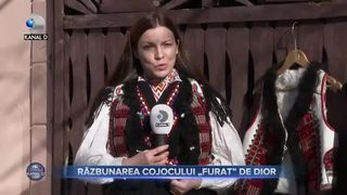 Razbunarea cojocului furat de Dior