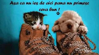 Mesaje de Moş Nicolae 2021: Felicitari şi urări haioase