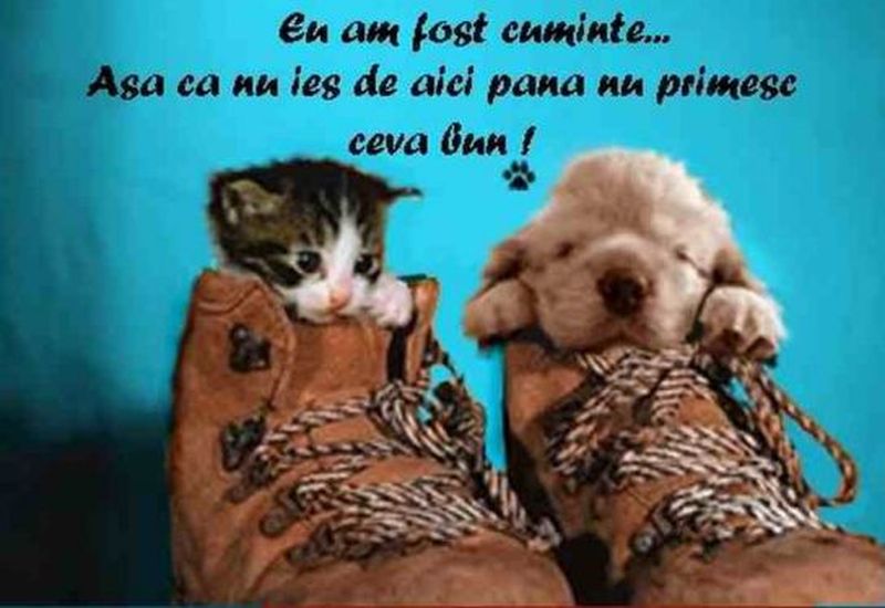 Mesaje de Moş Nicolae 2021: Felicitari şi urări haioase