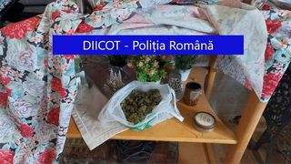 Cinci bărbați din Bacău au fost reținuți de DIICOT pentru trafic de droguri