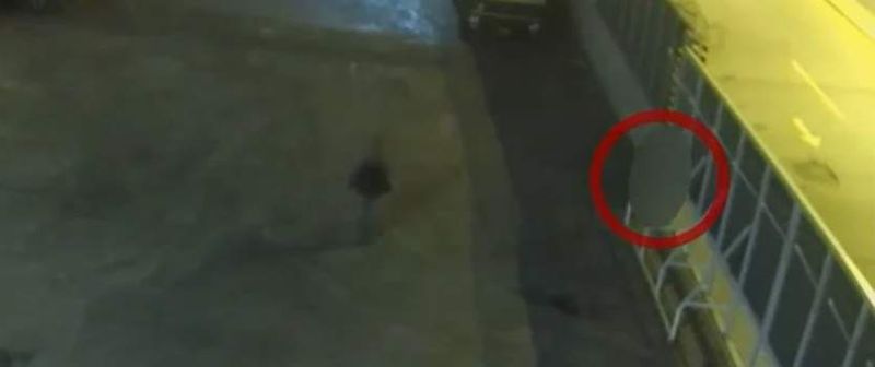 micuta-olga-moarta-in-grecia