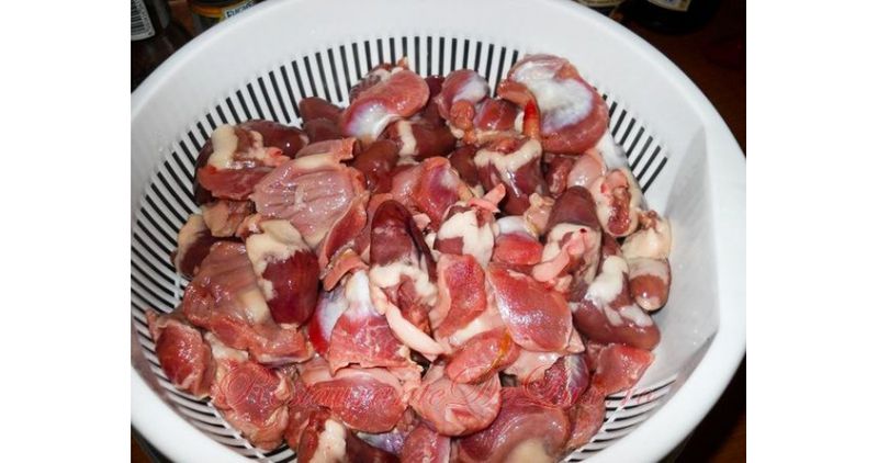 pipote-infectate-cu-salmonella