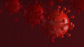 india decese coronavirus