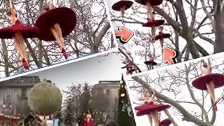 VIDEO| Fantezia târgului: balerine sexy în copac
