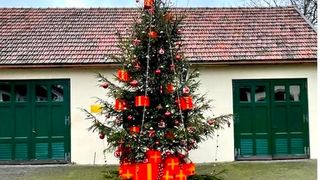 Satul Regal de la Săvârșin îmbracă haine de sărbătoare. Copiii aprind luminile din bradul de Crăciun