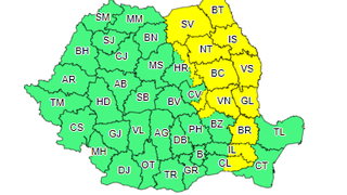 Cod galben de ninsori